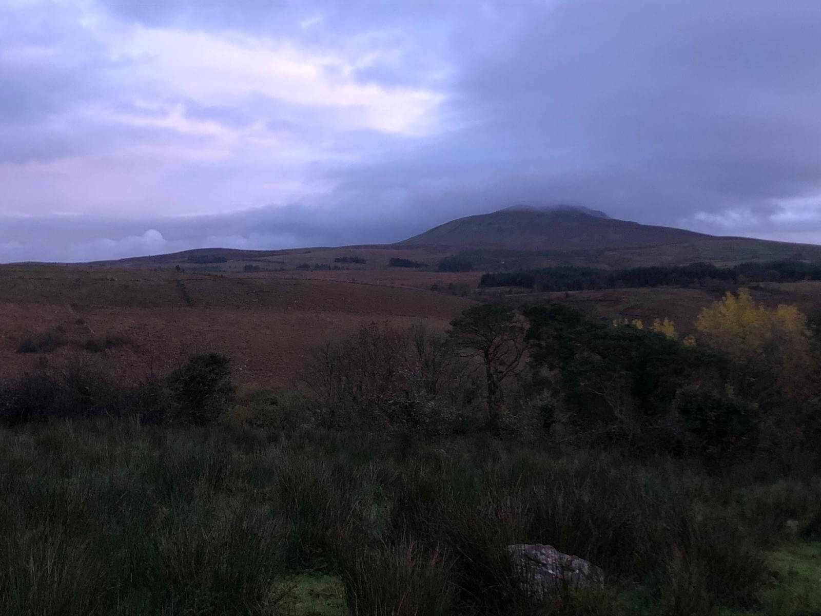 West Cavan Camino