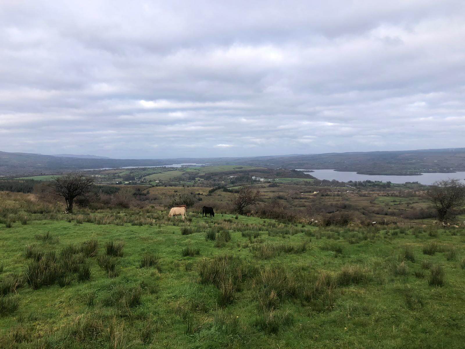 West Cavan Camino