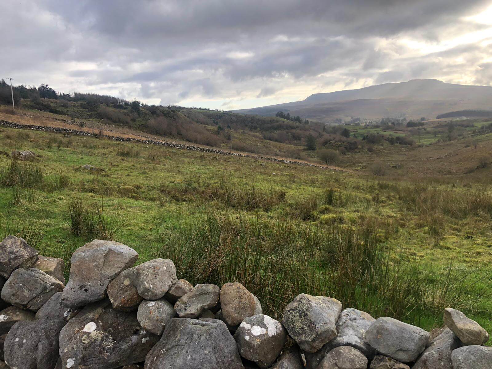 West Cavan Camino