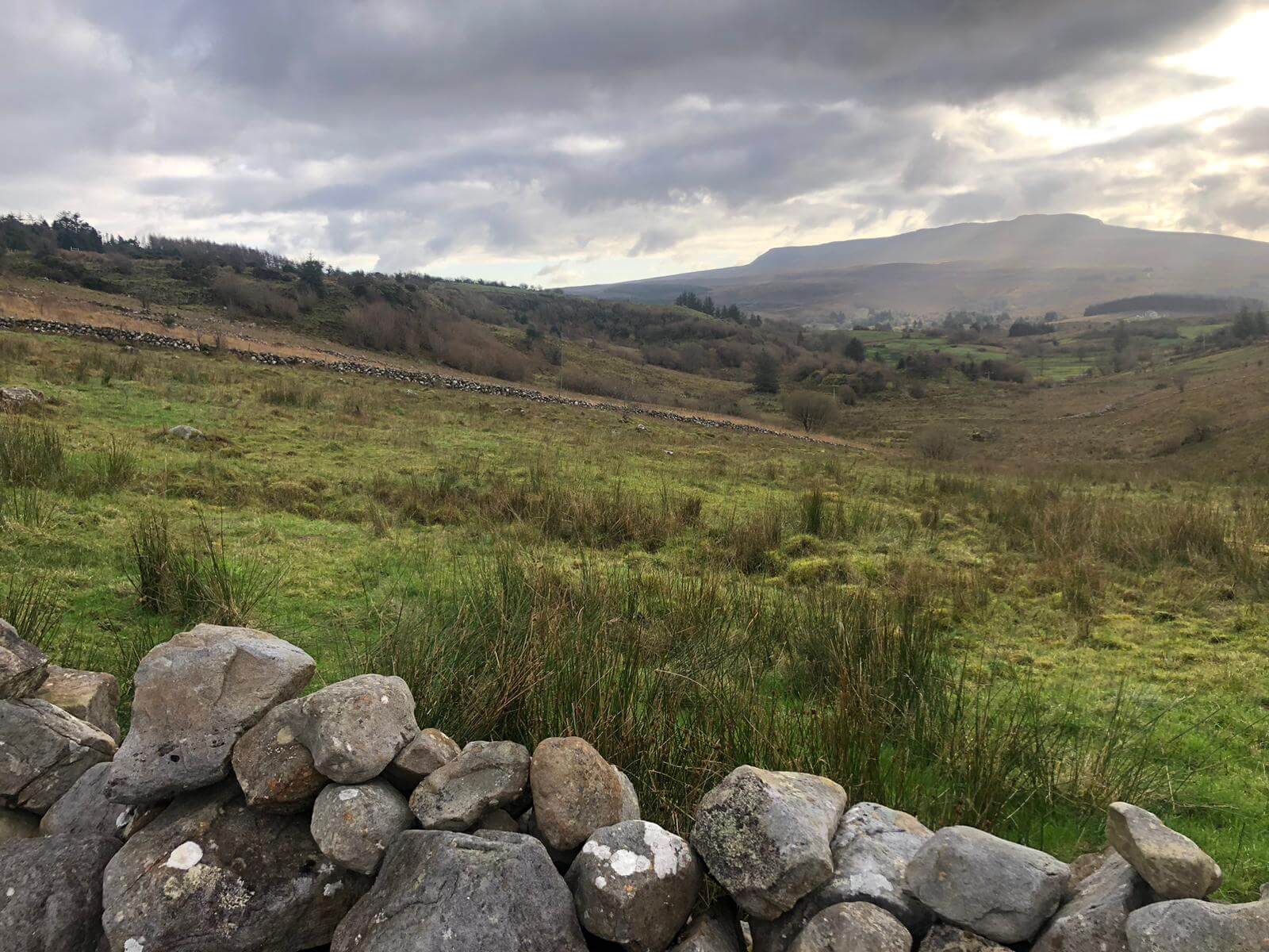 West Cavan Camino