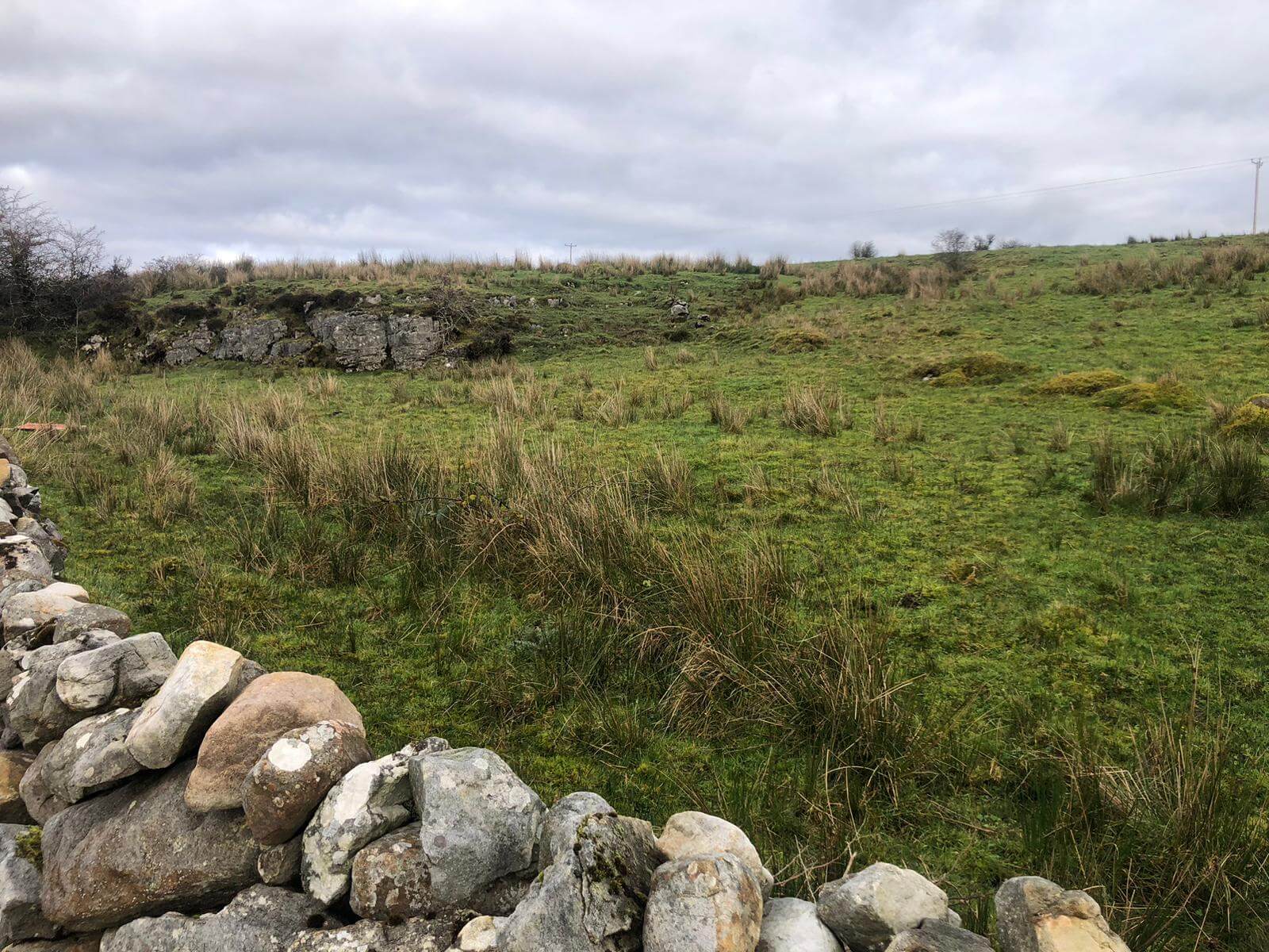 West Cavan Camino