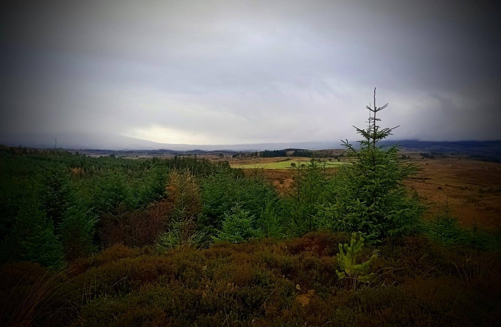 West Cavan Camino