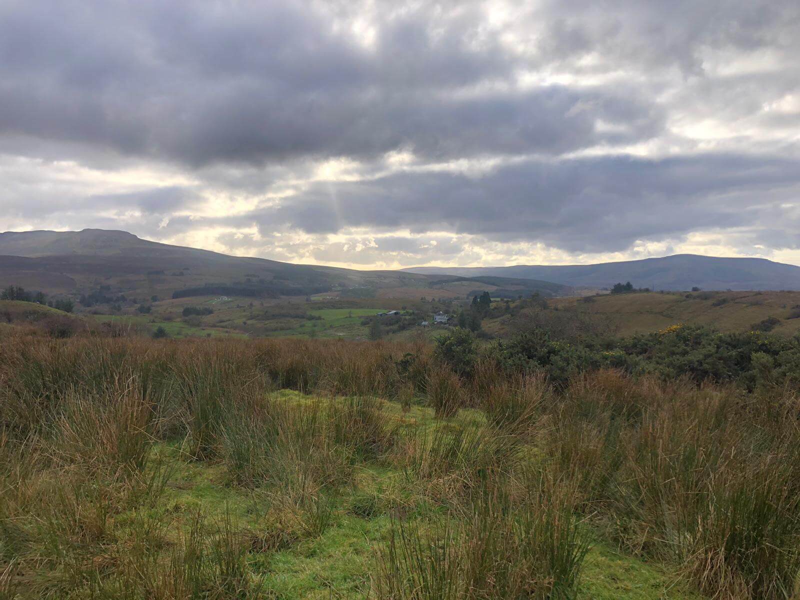 West Cavan Camino