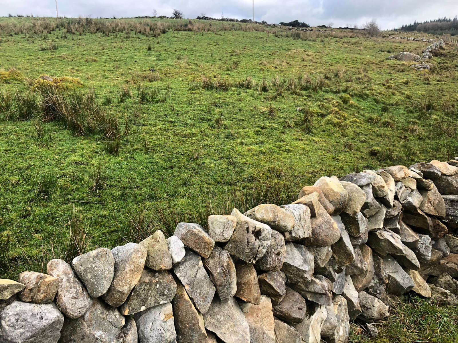 West Cavan Camino