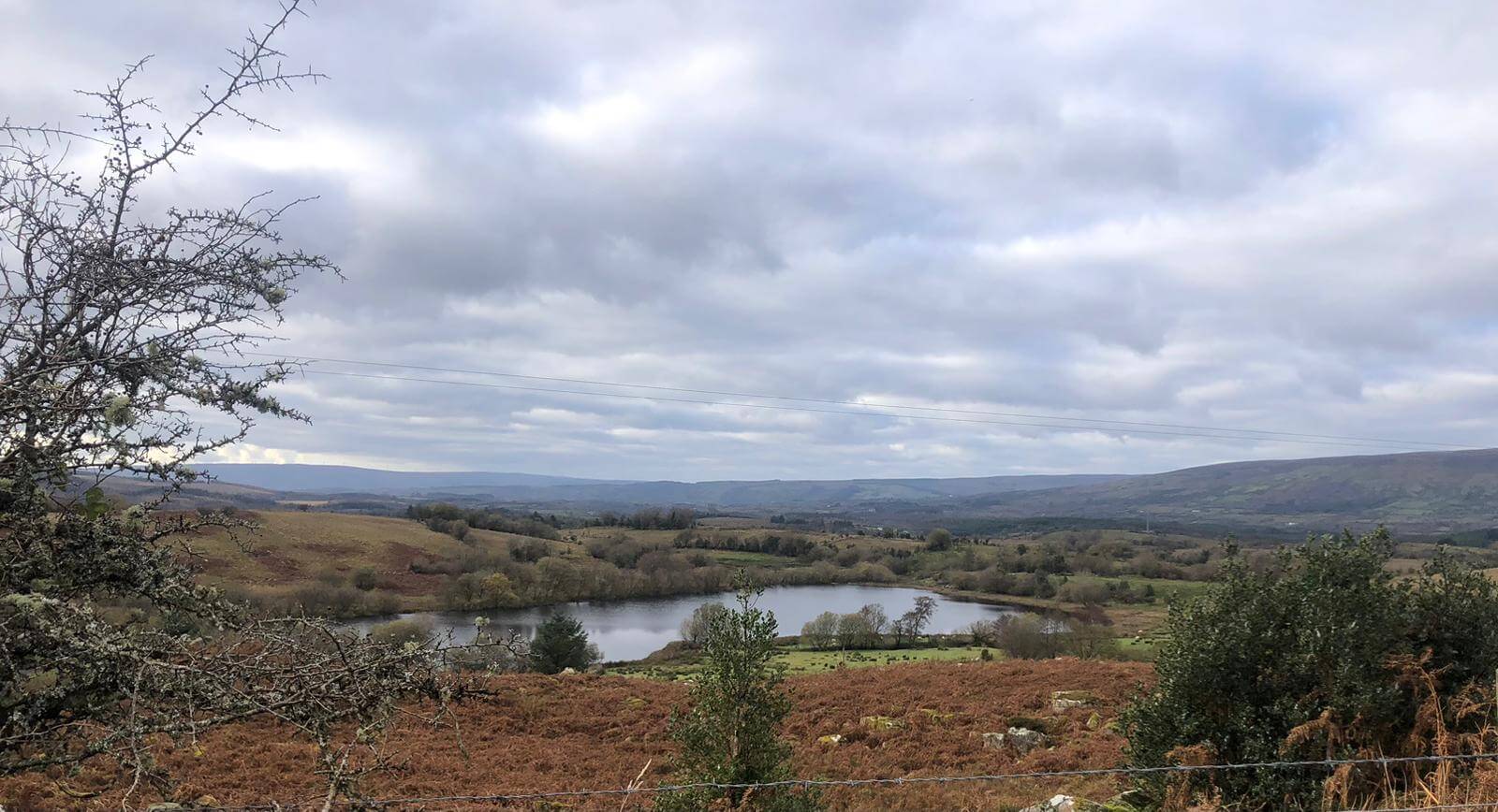 West Cavan Camino