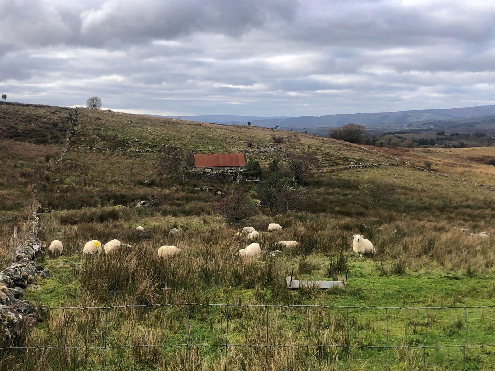 West Cavan Camino
