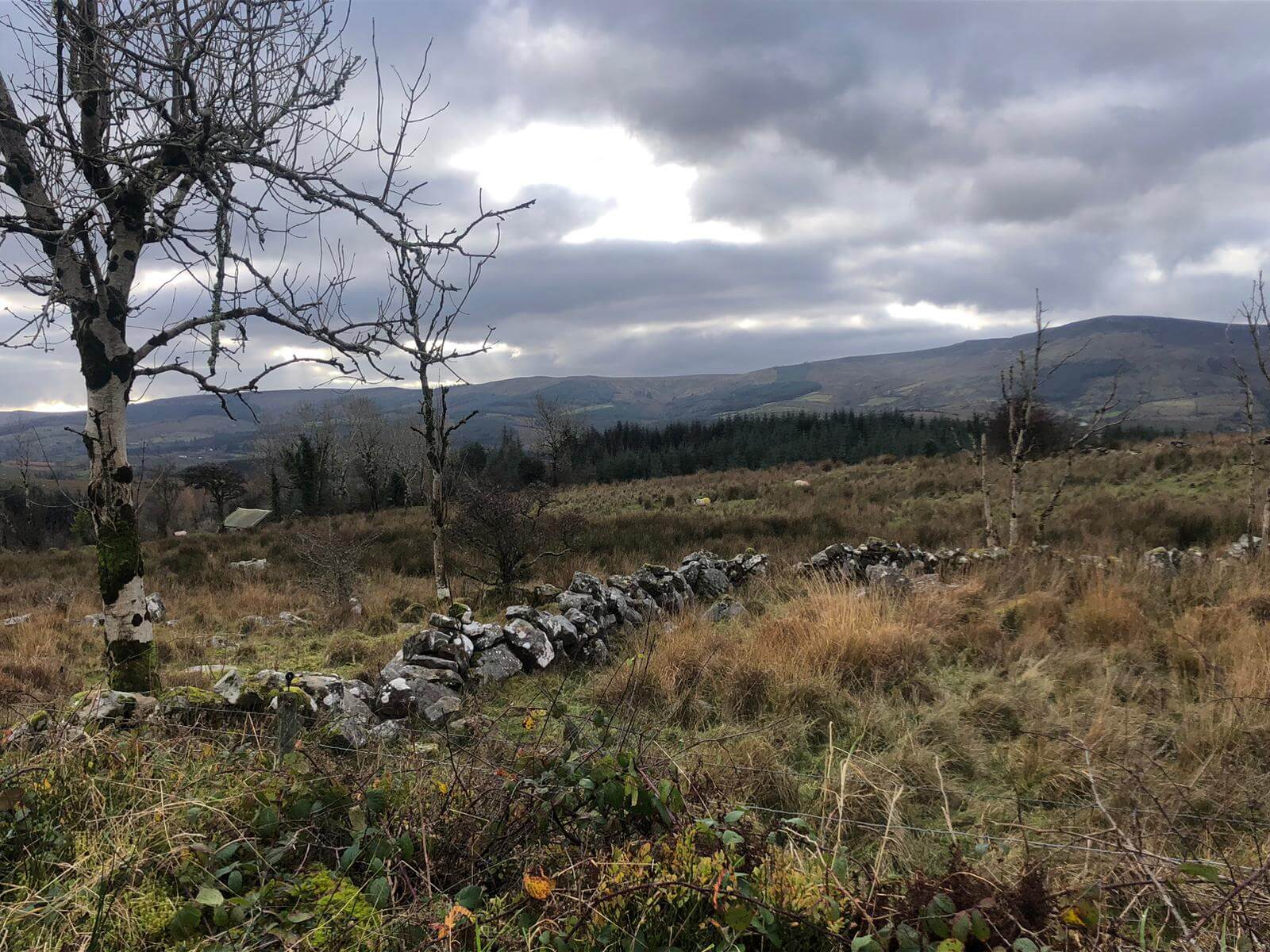 West Cavan Camino