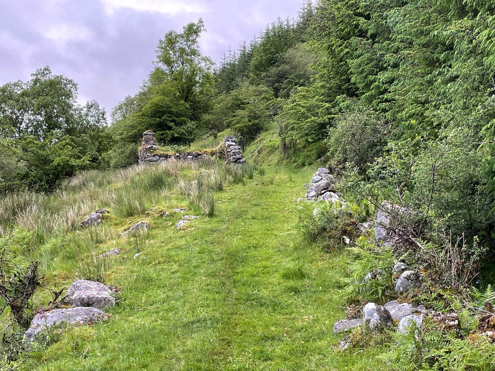 West Cavan Camino