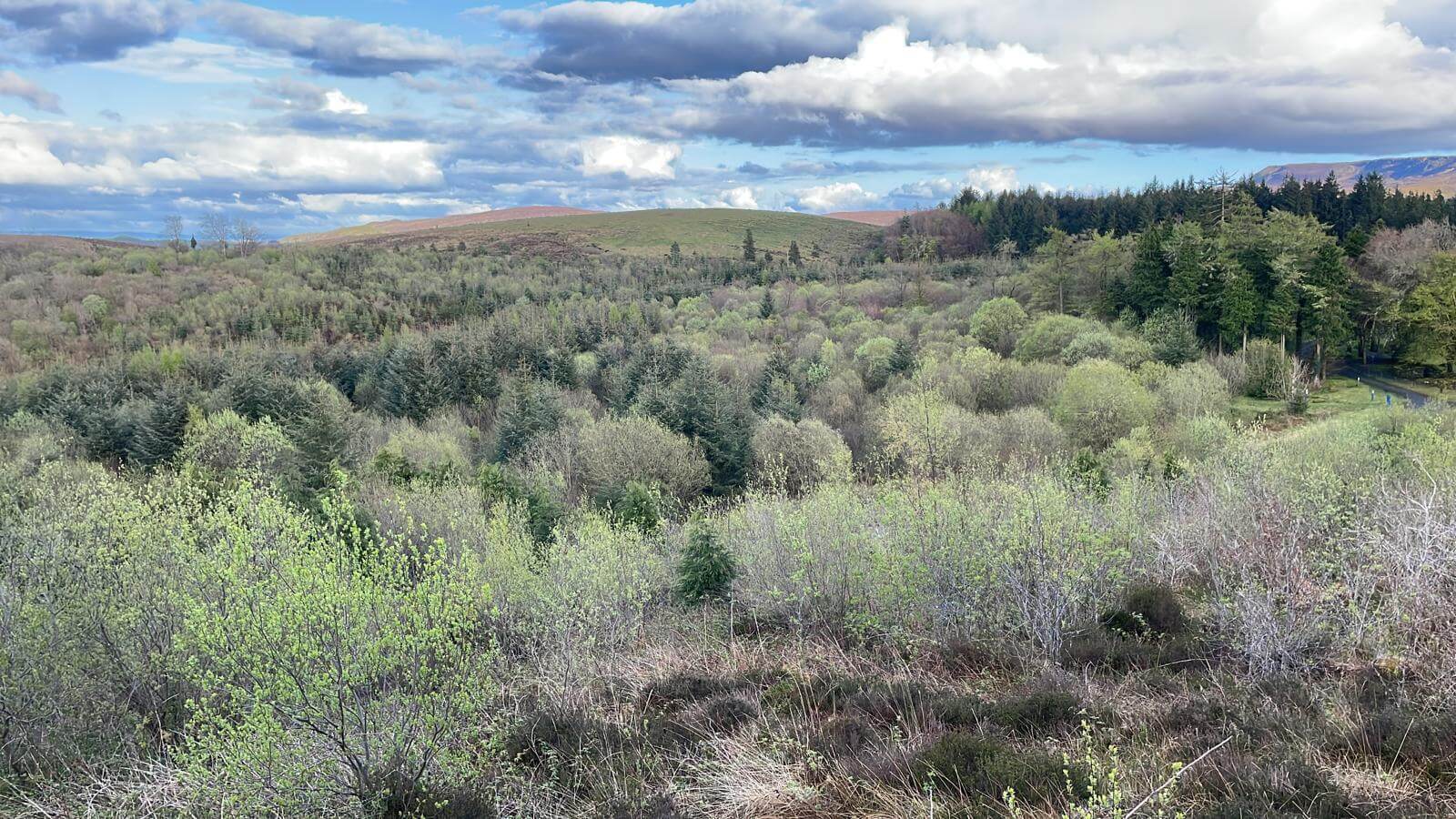 West Cavan Camino